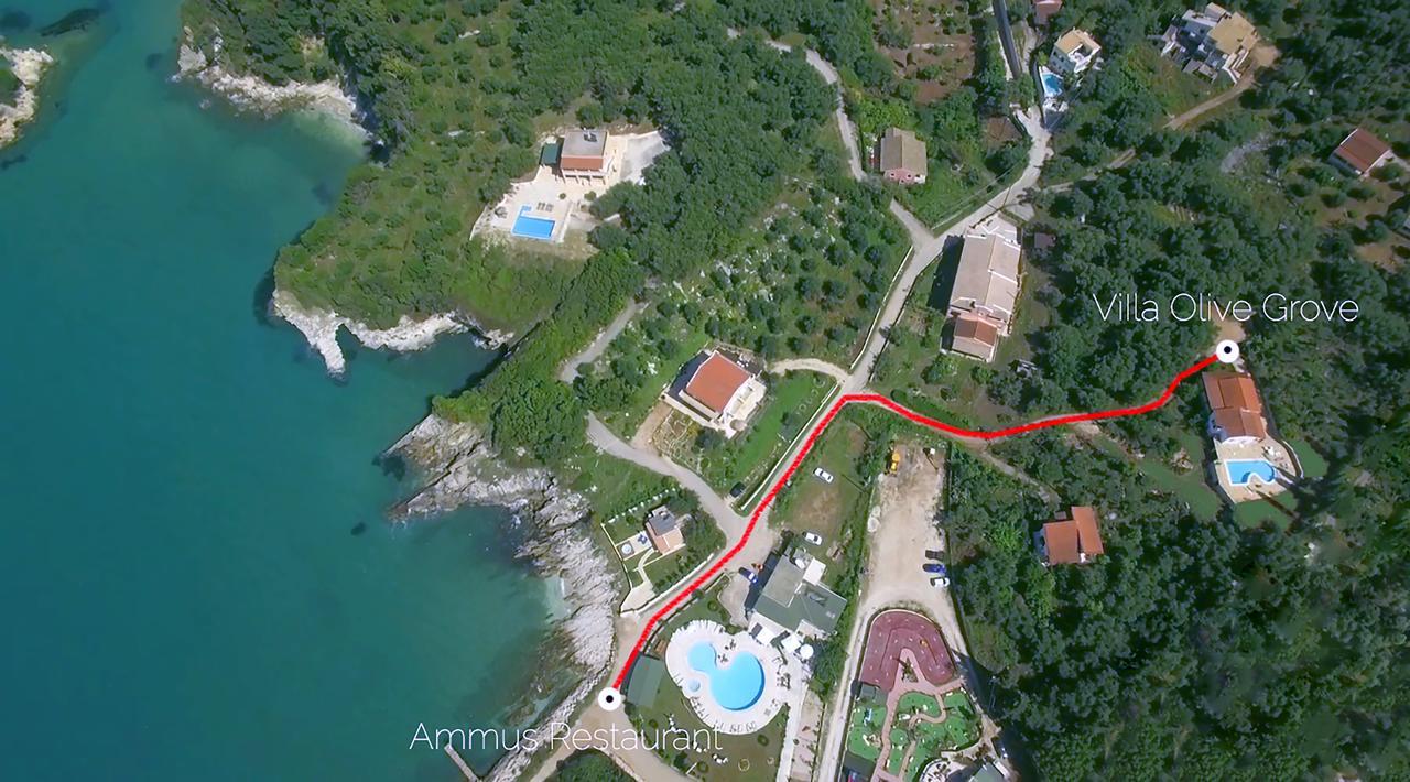 Villa Olive Grove And Sea View Agios Spyridon (Corfu) Exterior foto