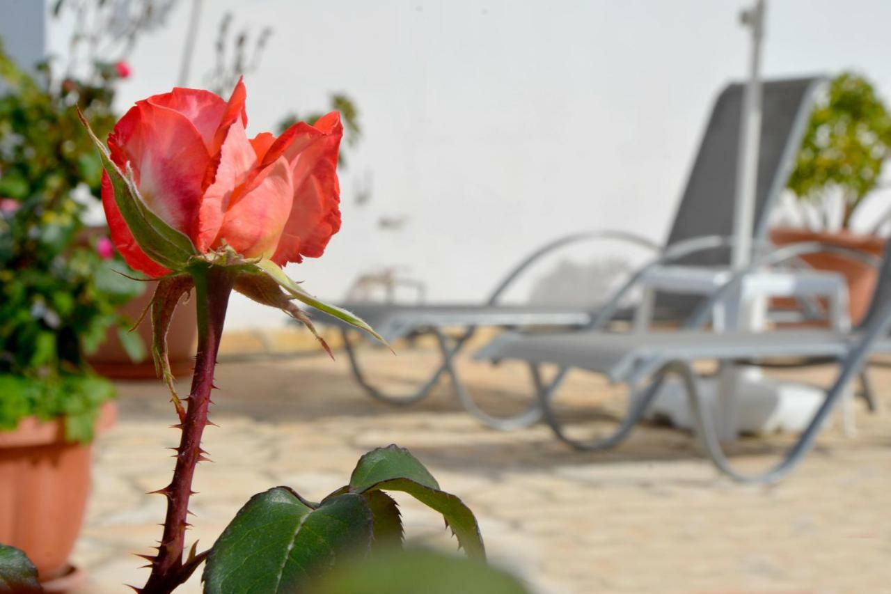Villa Olive Grove And Sea View Agios Spyridon (Corfu) Exterior foto